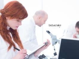 Novozymes Junior Executive Vacancy