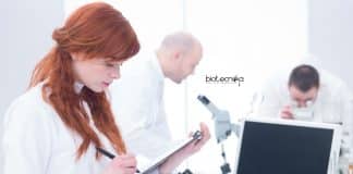 Novozymes Junior Executive Vacancy