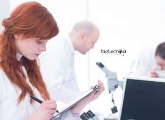 Novozymes Junior Executive Vacancy