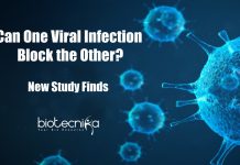 Scientists Find New Insights Into Common Cold Virus Blocking The Influenza Virus One Respiratory Virus Can Block Another