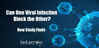 One Respiratory Virus Can Block Another