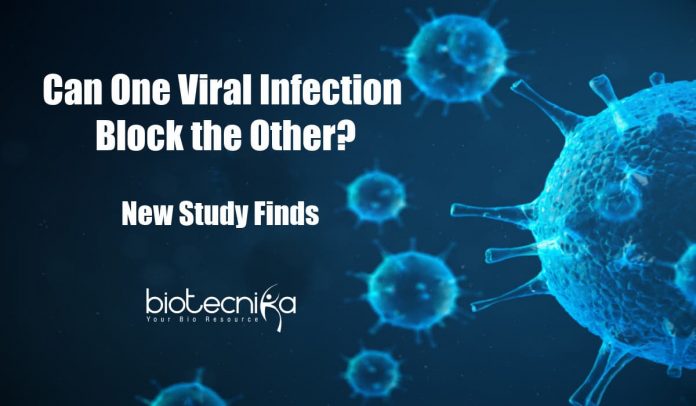 One Respiratory Virus Can Block Another