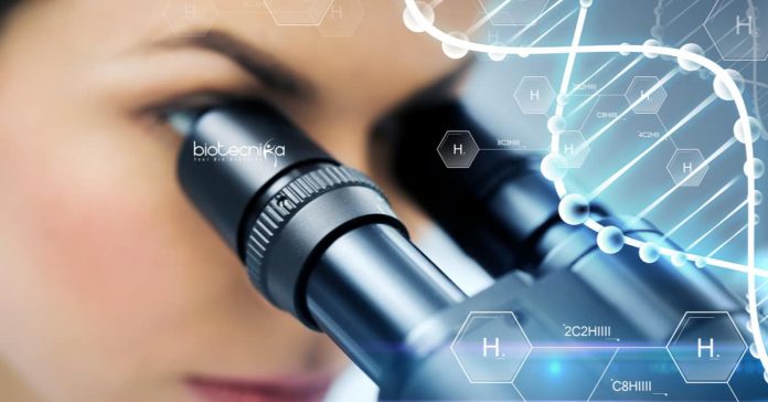 PI Industries Research Jobs