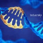 Presidency University Job