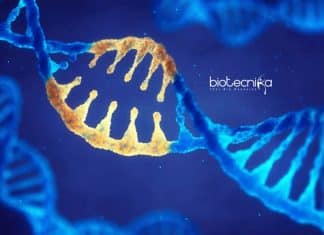 Presidency University Research Fellow Job Openings For Life Sciences Presidency University Job