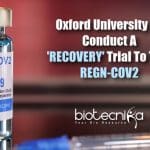 RECOVERY Trial To Test REGN-COV2 – A Cocktail For COVID-19 Antibodies By Oxford University RECOVERY trial to test REGN-COV2