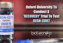 RECOVERY Trial To Test REGN-COV2 – A Cocktail For COVID-19 Antibodies By Oxford University RECOVERY trial to test REGN-COV2