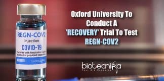 RECOVERY trial to test REGN-COV2