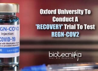 RECOVERY trial to test REGN-COV2