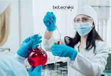 Research Associate Job With Rs. 54,000 pm Pay at IIT Roorkee Research Associate Job