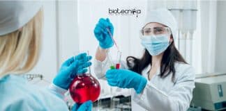 Research Associate Job