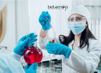 Research Associate Job
