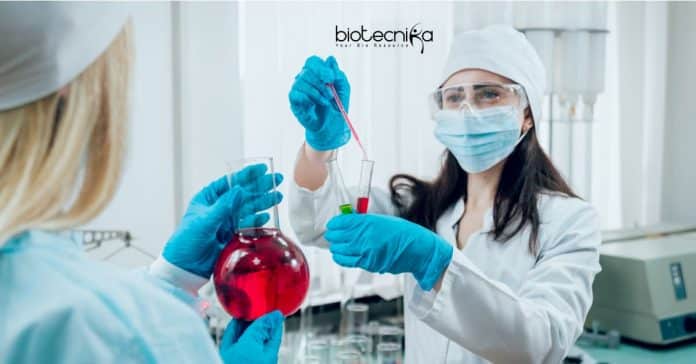 Research Associate Job