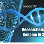 Researchers unravel genome