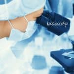 SRL Jobs
