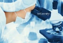 SRL Scientist Molecular Biology Recruitment – Apply Online SRL Jobs