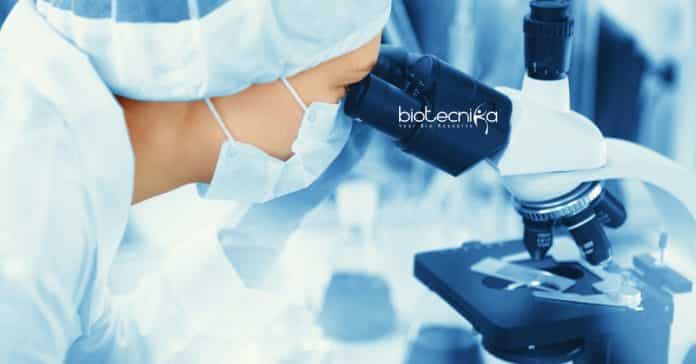 SRL Jobs