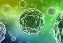 Safdarjung Hospital Biological Science Job – VMMC & Safdarjung Hospital Research Safdarjung Hospital Biological Science