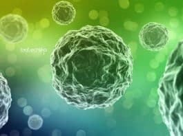 Safdarjung Hospital Biological Science