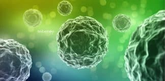 Safdarjung Hospital Biological Science