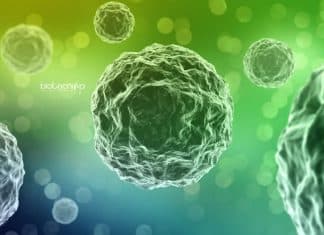 Safdarjung Hospital Biological Science