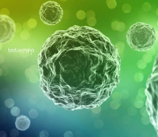 Safdarjung Hospital Biological Science