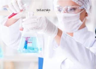 Sanofi Analytical Assurance Recruitment