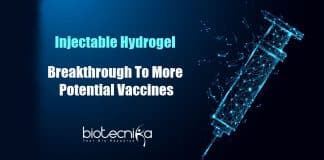 Scientists develop injectable hydrogel