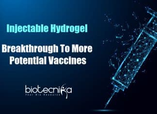 Injectable Hydrogel May Enhance Potency, And Quality Of Vaccines Scientists develop injectable hydrogel