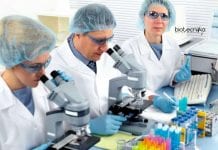 Shiv Nadar University Cancer Project Recruitment – Applications Invited Shiv Nadar University Vacancies