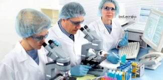Shiv Nadar University Vacancies