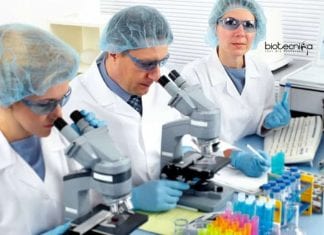 Shiv Nadar University Vacancies
