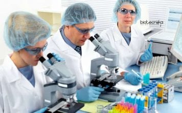 Shiv Nadar University Cancer Project Recruitment – Applications Invited Shiv Nadar University Vacancies