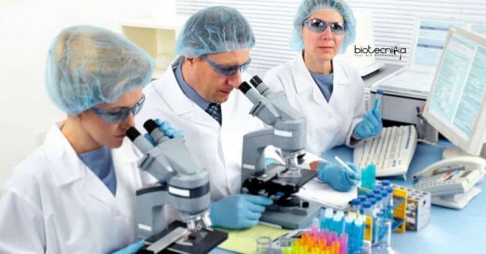 Shiv Nadar University Vacancies
