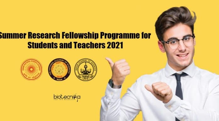 Summer Research Fellowship Programme
