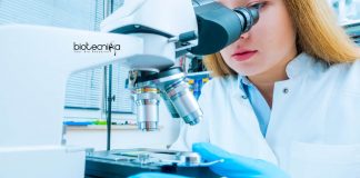 Sun Pharma Job