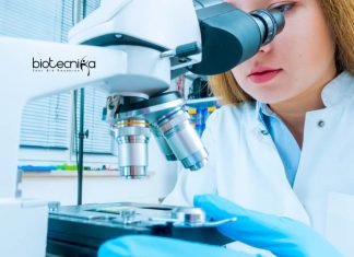 Sun Pharma Job