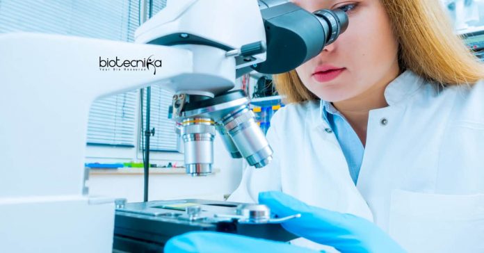Sun Pharma Job