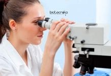 Syngene BSc Biotech & Biochem Junior Executive Job Opening Syngene Bengaluru Jobs