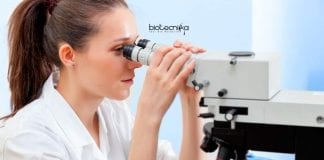 Syngene Bengaluru Jobs