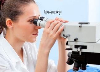 Syngene Bengaluru Jobs