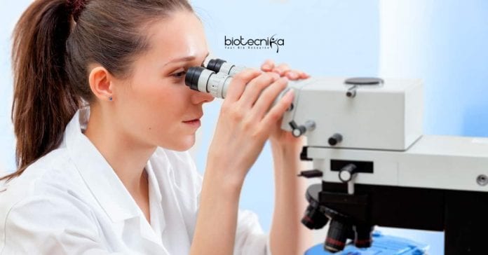 Syngene Bengaluru Jobs