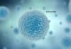 Syngene Stem Cell Biology