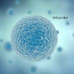 Syngene Stem Cell Biology Associate Scientist Jobs Syngene Stem Cell Biology