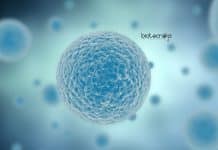 Syngene Stem Cell Biology Associate Scientist Jobs Syngene Stem Cell Biology