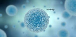 Syngene Stem Cell Biology