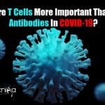 T cells more important than antibodies