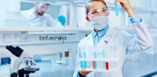 TERI Project Associate Jobs
