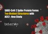 Study Unravels Ten Distinct Structures Formed By SARS-CoV-2 Spike Protein with ACE2 Ten Distinct Structures Formed by SARS-CoV-2 Spike Protein
