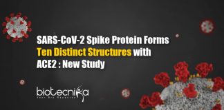 Ten Distinct Structures Formed by SARS-CoV-2 Spike Protein